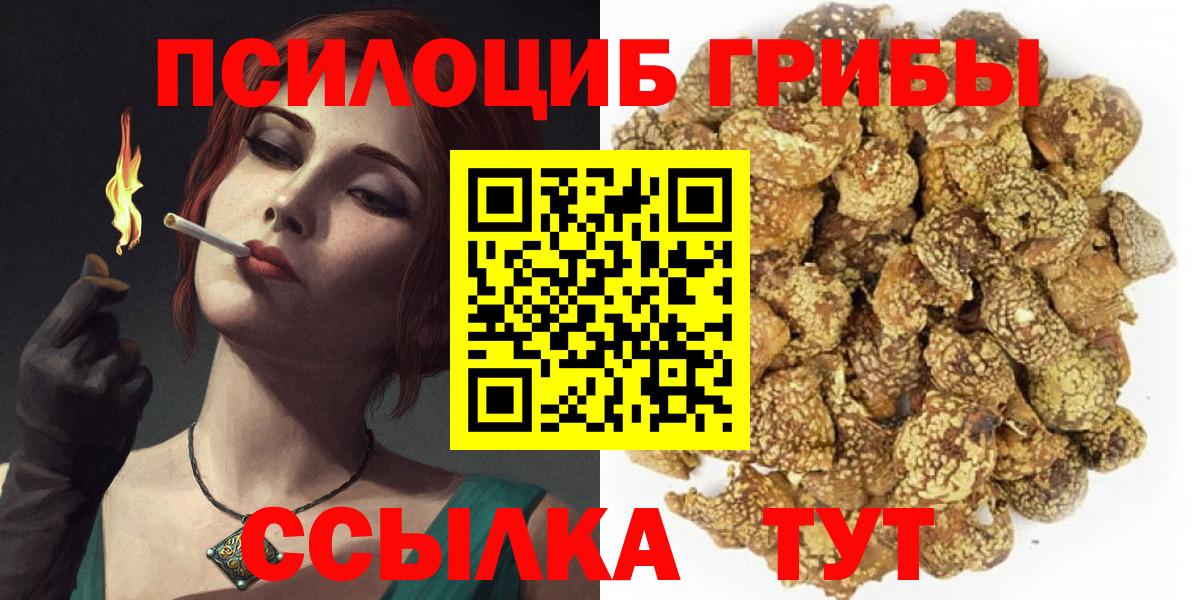 Галлюциногенные грибы GOLDEN TEACHER Нефтекумск