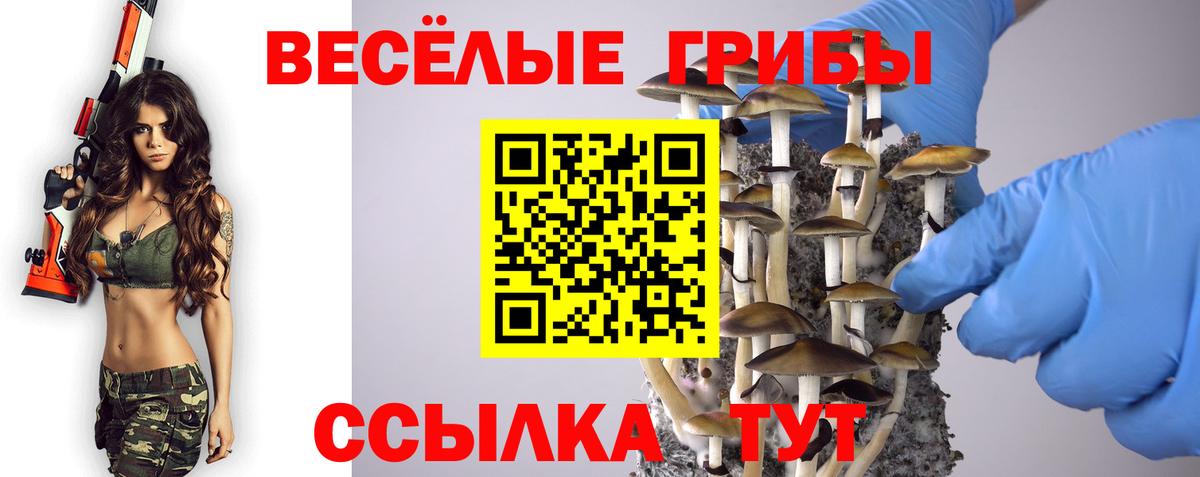 Псилоцибиновые грибы MAGIC MUSHROOMS  Галлюциногенные грибы мицелий  Вход с VPN  Нефтекумск 